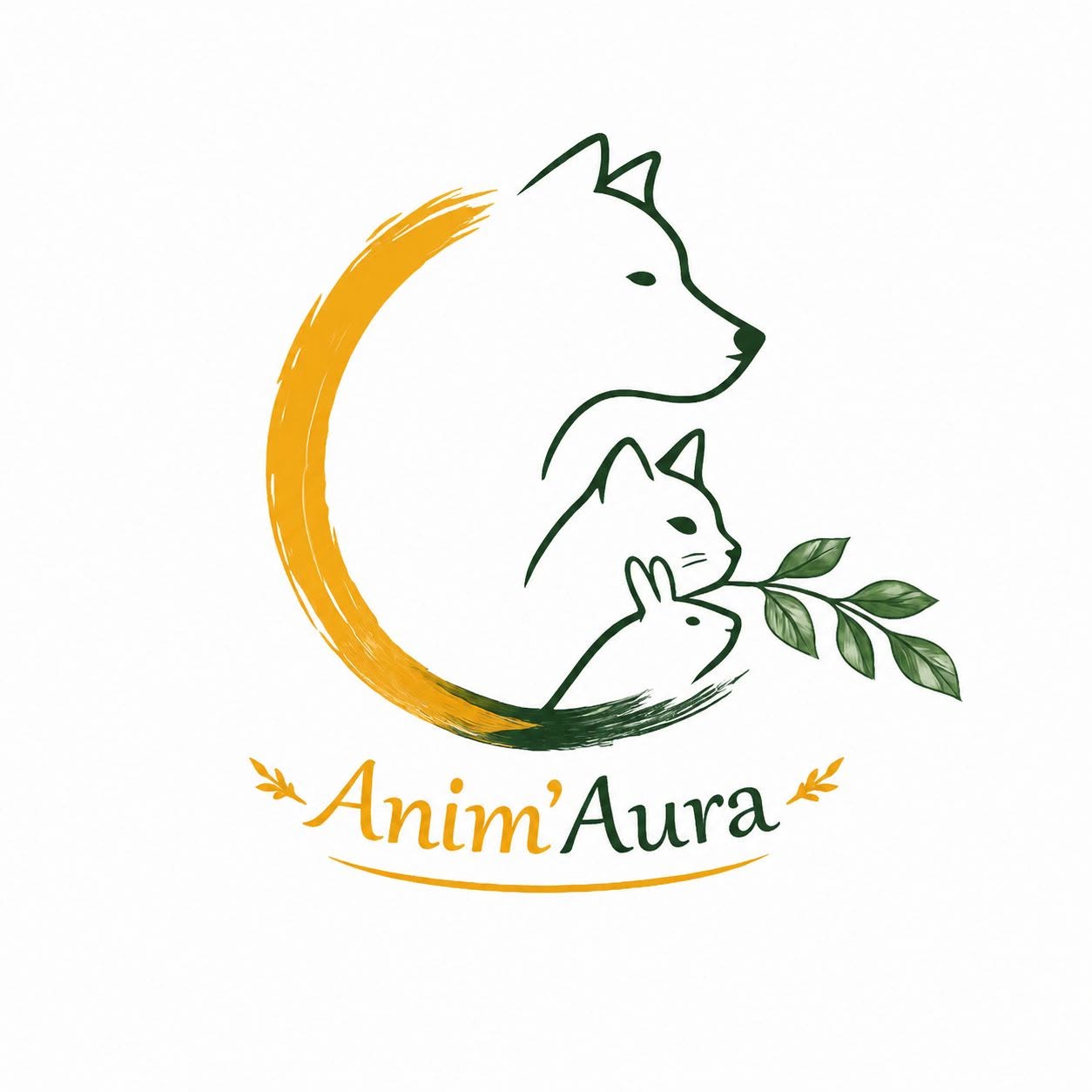Anim Aura